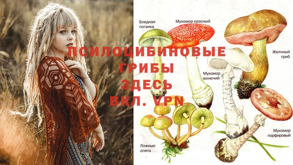 кокаин перу Коряжма