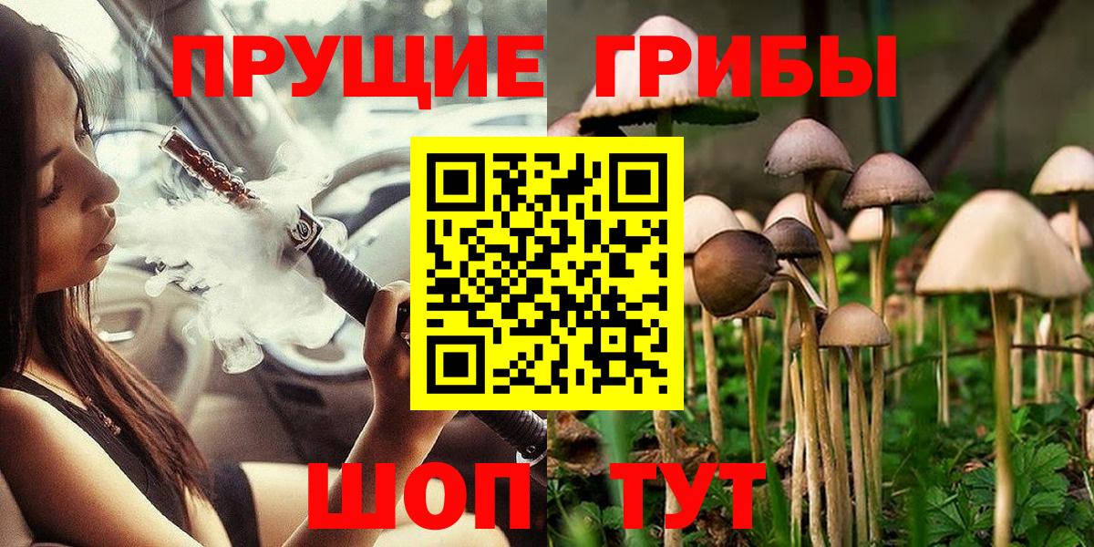 Альметьевск  Псилоцибиновые грибы GOLDEN TEACHER  Галлюциногенные грибы Psilocybine cubensis  купить наркотик  Вход с VPN 